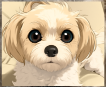 プロフィール