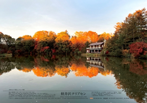 愛犬と楽しむ紅葉散歩＆お出かけマナー