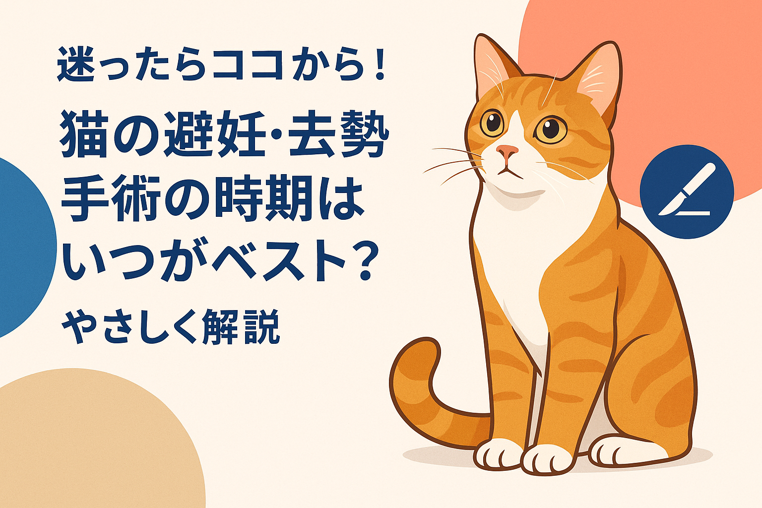 迷ったらココから！猫の避妊・去勢手術の時期はいつがベスト？やさしく解説