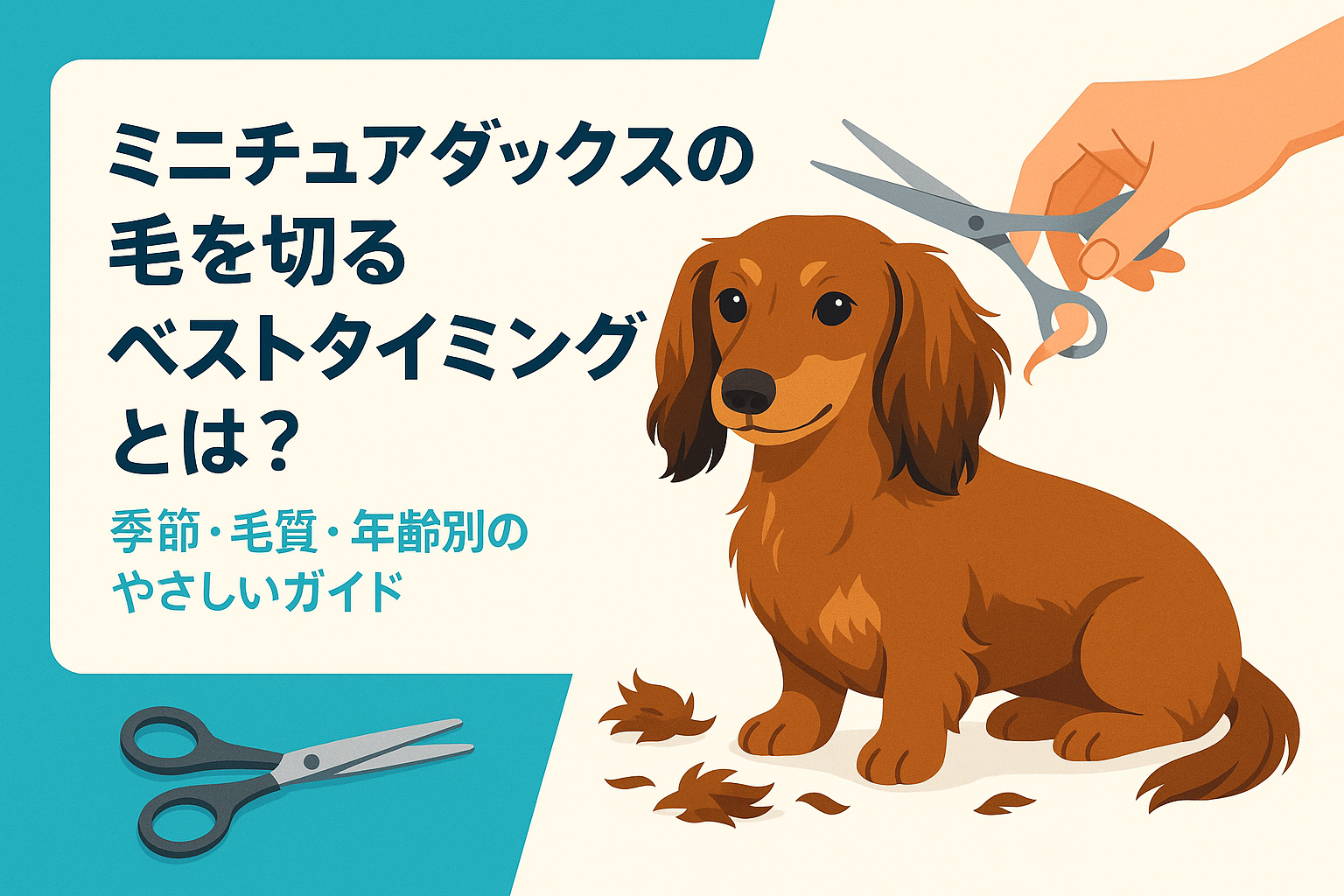 ミニチュアダックスの毛を切るベストタイミングとは？季節・毛質・年齢別のやさしいガイド
