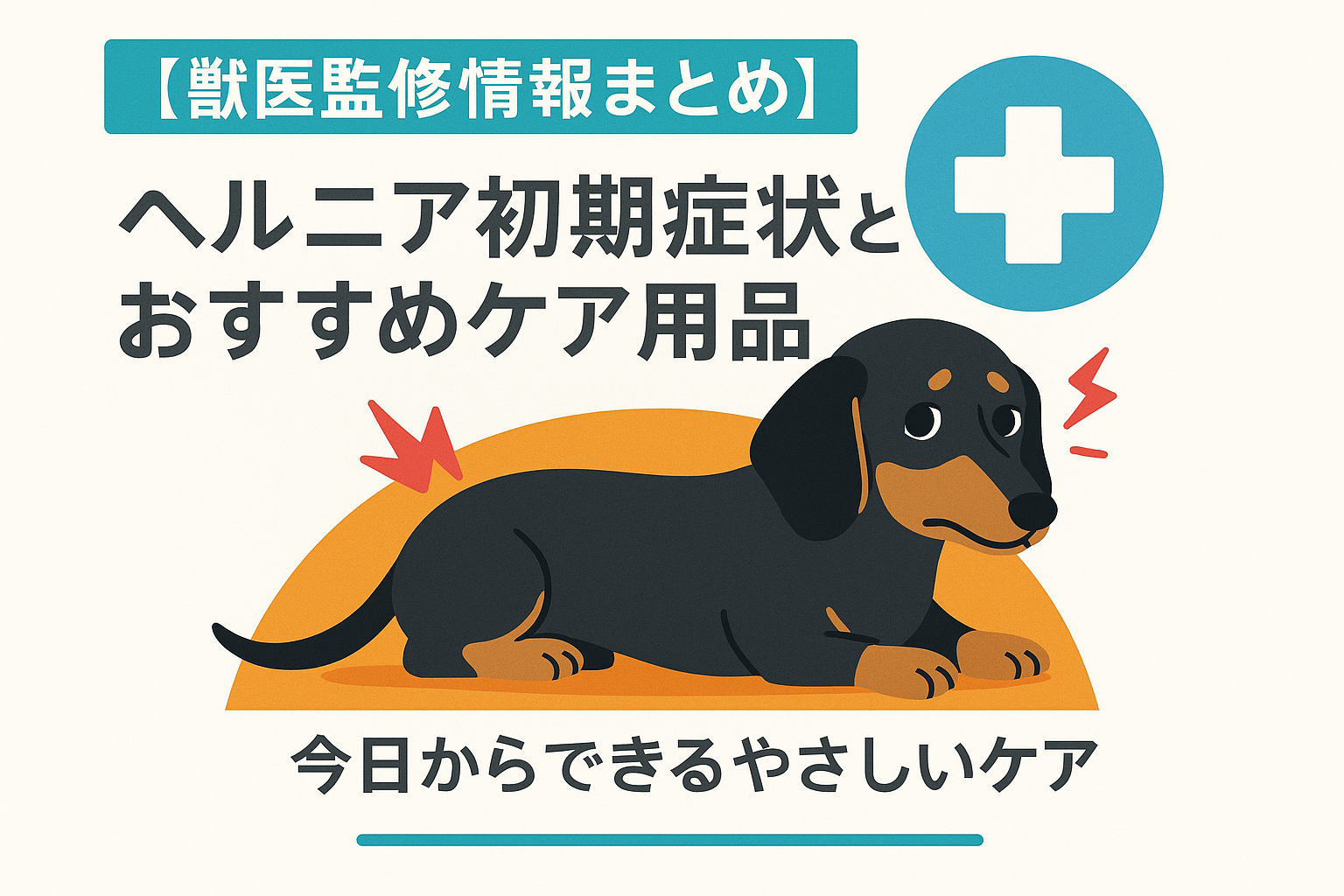 【獣医監修情報まとめ】ダックスのヘルニア初期症状とおすすめケア用品｜今日からできるやさしいケア