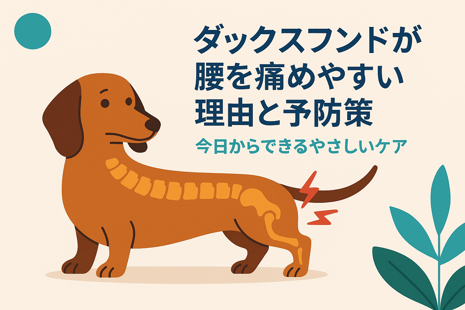 ダックスフンドが腰を痛めやすい理由と予防策｜今日からできるやさしいケア